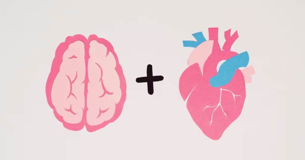 Brain and heart diagram