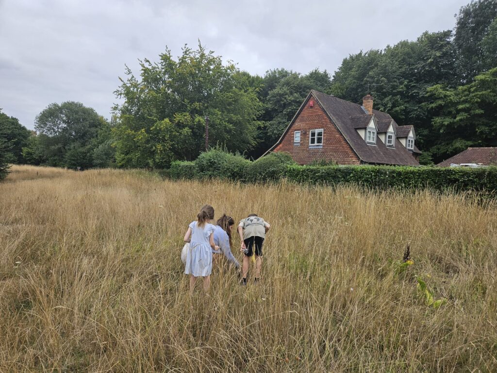 Nervous system reset exercise: spend time with kids (catching grasshoppers).