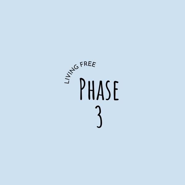 Phase 3 living free - helping women feel calm, confident and in control after narcissistic abuse