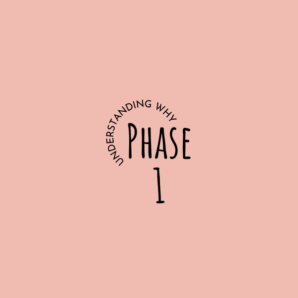 Phase 1 somatic coaching