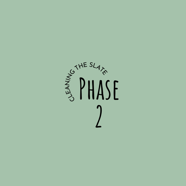 Phase 2 somatic coaching